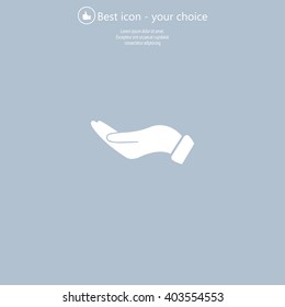 flat of the hand icon