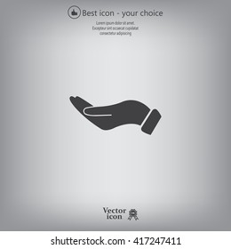 flat of the hand icon