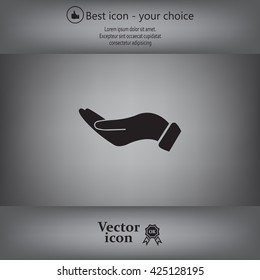 flat of the hand icon
