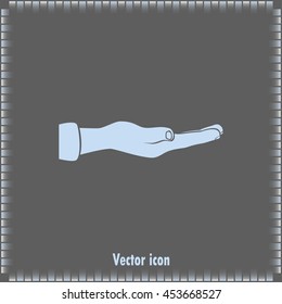 flat of the hand icon