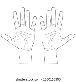 flat of the hand line vector illustration,isolated on white background,top view