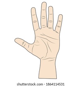 flat of the hand vector illustration,isolated on white background,top view