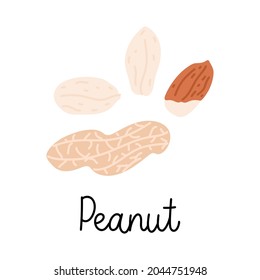 Flat hand-drawn illustration of two peanuts, peanut in a shell with monoline inscription. Colorful vector drawing isolated on white background. 