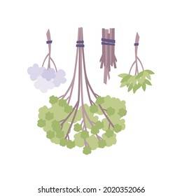 Flat hanging bunches of herbs and twigs isolated vector illustration