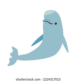flat happy beluga over white