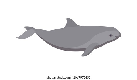 Flat harbour porpoise dolphin. Vector illustration. Collection