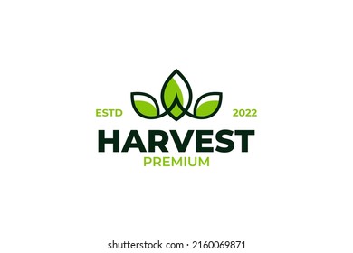 Flat harvest leaf logo design vector template illustration