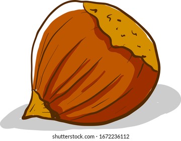Flat hazelnut, illustration, vector on white background.