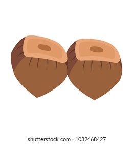 Flat hazelnuts design on white background