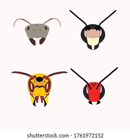 Flat heads, domestic and wild bee, ant and hornet. Seth from the work team. You can animate for cartoons and movies.