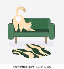 Flat home interior with fat cat on green sofa. Vector home. Set home sweet home