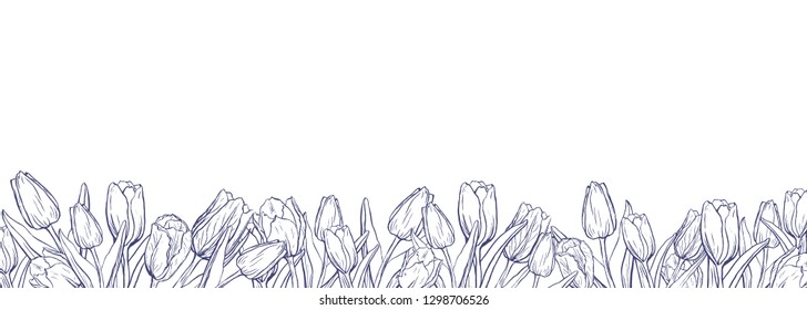 Flat horizontal background template with hand drawn tulips. Ink sketch of  spring flowers. Elements for design in pale tender colors.
