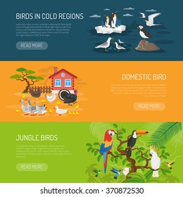 Flat horizontal banners set of birds in cold regions domestic birds and jungle birds vector illustration  