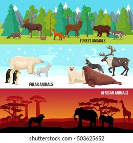 Flat horizontal banners set with forest polar and african animals on nature backgrounds isolated vector illustration