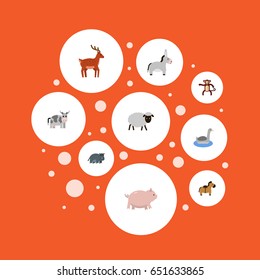 Flat Horns, Zebra, Kine And Other Vector Elements. Set Of Animal Flat Symbols Also Includes Goose, Gorilla, Neck Objects.