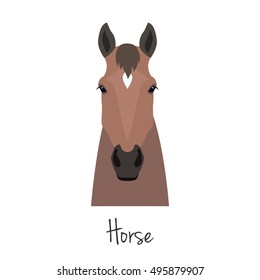 Flat horse on isolated background. Vector. Face horse. Head. Design element. Cartoon style. Brown, bay.