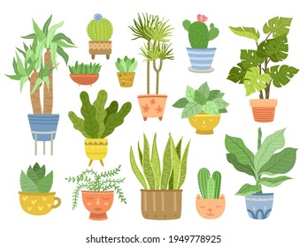 Flat house plant. Home plants, flat gardening indoor elements. Bamboo in pot, interior succulents in cute containers exact vector collection