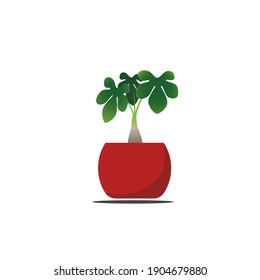 flat house plant pot vector. decoration . decorative . indoor plant. potted plant. flower vector. plant ilustration. leaf icon. plants symbol. white background