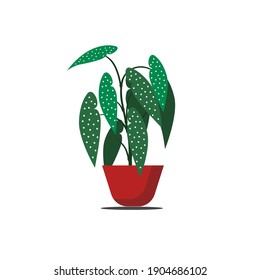 flat house plant pot vector. decoration. indoor plant. potted plant. flower vector. plant ilustration. leaf icon. plants symbol. white background. decorative