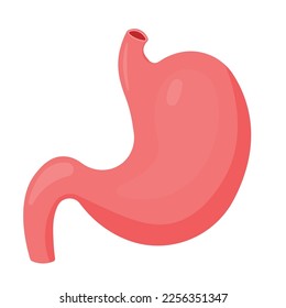 Flat Human stomach. Internal organ, anatomy. Vector cartoon flat icon illustration isolated on white background.