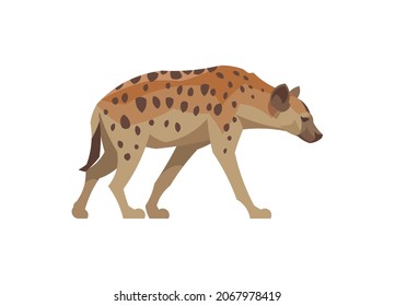 Flat hyena. Vector illustration. Collection