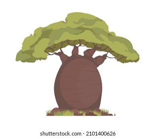 Flat icon with african green baobab on white background vector illustration