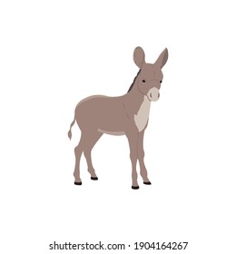 flat icon animal donkey vector illustration
