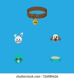 Flat Icon Animal Set Of Bunny, Hound Necklace, Feeding And Other Vector Objects. Also Includes Sparrow, Wing, Rabbit Elements.