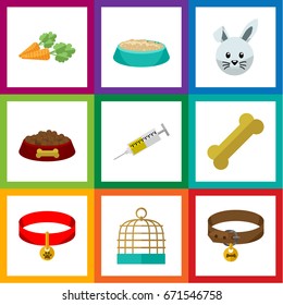 Flat Icon Animal Set Of Dog Food, Root Vegetable, Kitty Collar And Other Vector Objects. Also Includes Bone, Osseous, Bunny Elements.