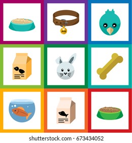 Flat Icon Animal Set Of Nutrition Box, Feeding, Rabbit Meal And Other Vector Objects. Also Includes Aquatic, Fishbowl, Bird Elements.