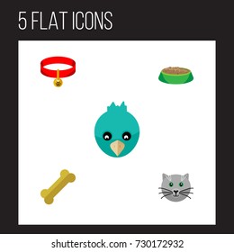Flat Icon Animal Set Of Rabbit Meal, Sparrow, Osseous And Other Vector Objects. Also Includes Sparrow, Pussy, Hare Elements.