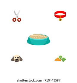 Flat Icon Animal Set Of Root Vegetable, Puppy, Kitty Collar And Other Vector Objects. Also Includes Vegetable, Nutrient, Dog Elements.