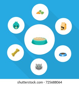 Flat Icon Animal Set Of Sparrow, Feeding, Kitty And Other Vector Objects. Also Includes Cat, Osseous, Wing Elements.