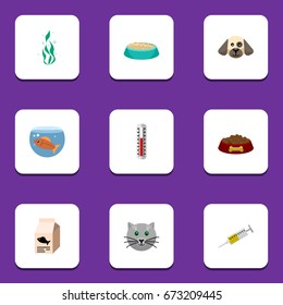 Flat Icon Animal Set Of Temperature Measurement, Dog Food, Kitty And Other Vector Objects. Also Includes Kitty, Dog, Syringe Elements.