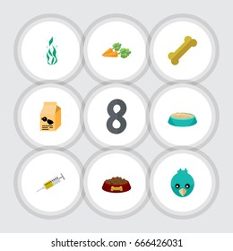 Flat Icon Animal Set Of Vaccine, Feeding, Dog Food And Other Vector Objects. Also Includes Root, Dog, Carrot Elements.