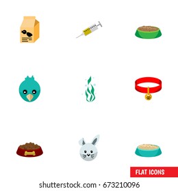 Flat Icon Animal Set Of Vaccine, Bunny, Feeding And Other Vector Objects. Also Includes Plant, Box, Sparrow Elements.