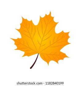 Flat icon autum gold leaf isolated on white background. Vector illustration.