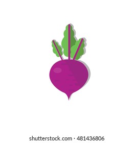 Flat icon of beet