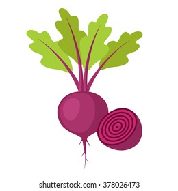 Flat icon beet with leaves and half of beet. Vector illustration.