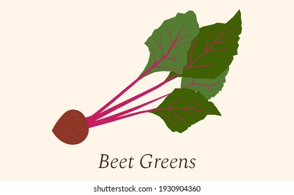 Flat icon beet with leaves on white background. Vector illustration EPS10.