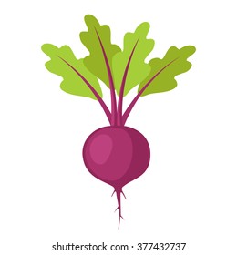 Flat icon beet with leaves. Vector illustration.