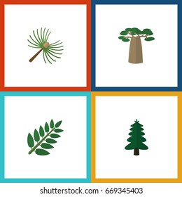 Flat Icon Bio Set Of Acacia Leaf, Park, Baobab And Other Vector Objects. Also Includes Leaf, Tree, Leaves Elements.
