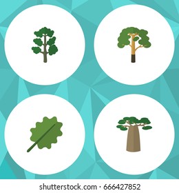 Flat Icon Bio Set Of Alder, Forest, Wood And Other Vector Objects. Also Includes Park, Wood, Tree Elements.