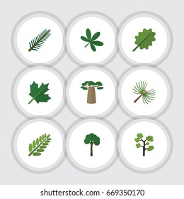 Flat Icon Bio Set Of Alder, Spruce Leaves, Garden And Other Vector Objects. Also Includes Alder, Oak, Oaken Elements.
