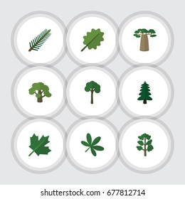 Flat Icon Bio Set Of Baobab, Tree, Forest And Other Vector Objects. Also Includes Alder, Oaken, Evergreen Elements.