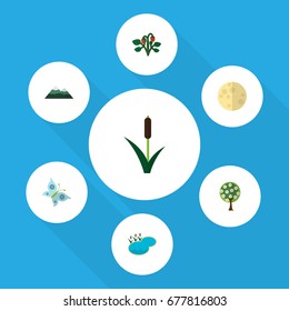 Flat Icon Bio Set Of Berry, Tree, Lunar And Other Vector Objects. Also Includes Cattail, Grass, Reed Elements.