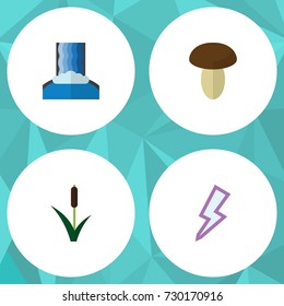 Flat Icon Bio Set Of Cascade, Lightning, Cattail And Other Vector Objects. Also Includes River, Champignon, Thunder Elements.