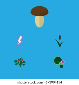 Flat Icon Bio Set Of Cattail, Lotus, Lightning And Other Vector Objects. Also Includes Champignon, Lightning, Lily Elements.