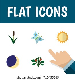 Flat Icon Bio Set Of Cattail, Solar, Half Moon And Other Vector Objects. Also Includes Solar, Cattail, Grass Elements.