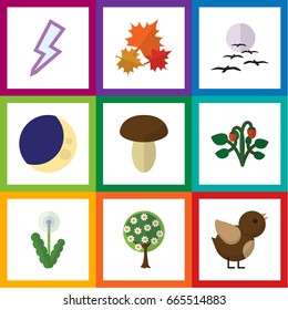 Flat Icon Bio Set Of Champignon, Tree, Lightning And Other Vector Objects. Also Includes Dandelion, Lightning, Wing Elements.